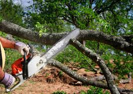 Best Weed Control  in Benavides, TX